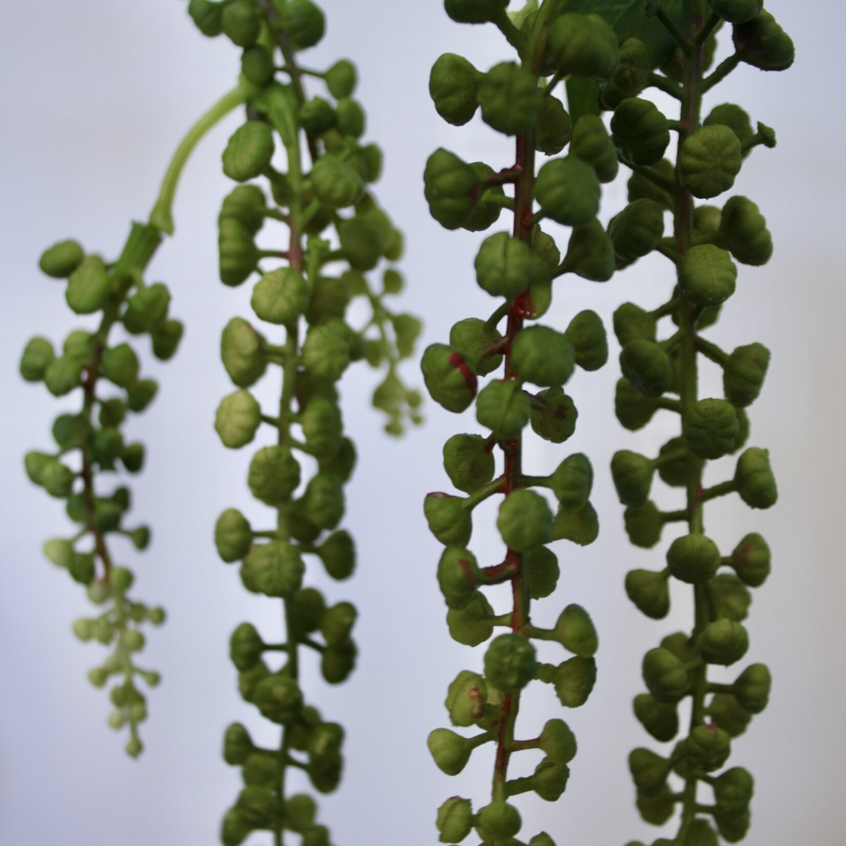 BERRY BRANCH HANGING | GREEN | 75 CM