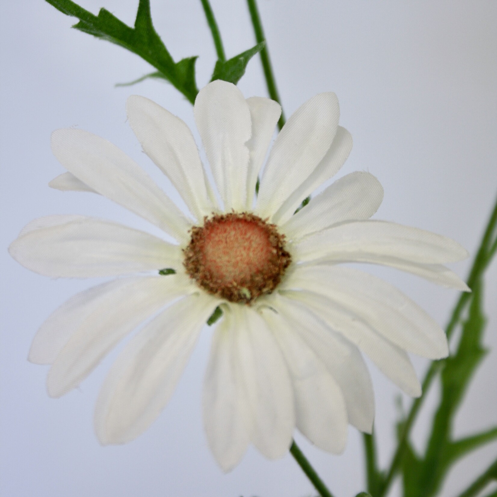 MARGRIET MAIKONIGIN | WIT | 60 CM