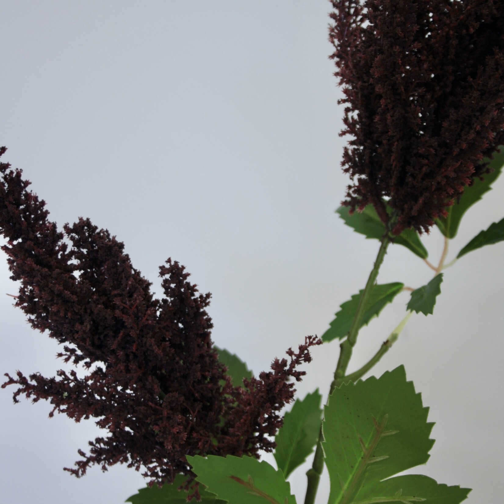 MEADOW SWEET BLACK PEARLS | BURGUNDY | 80 CM