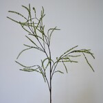 ASTILBE | GROEN | 100 CM