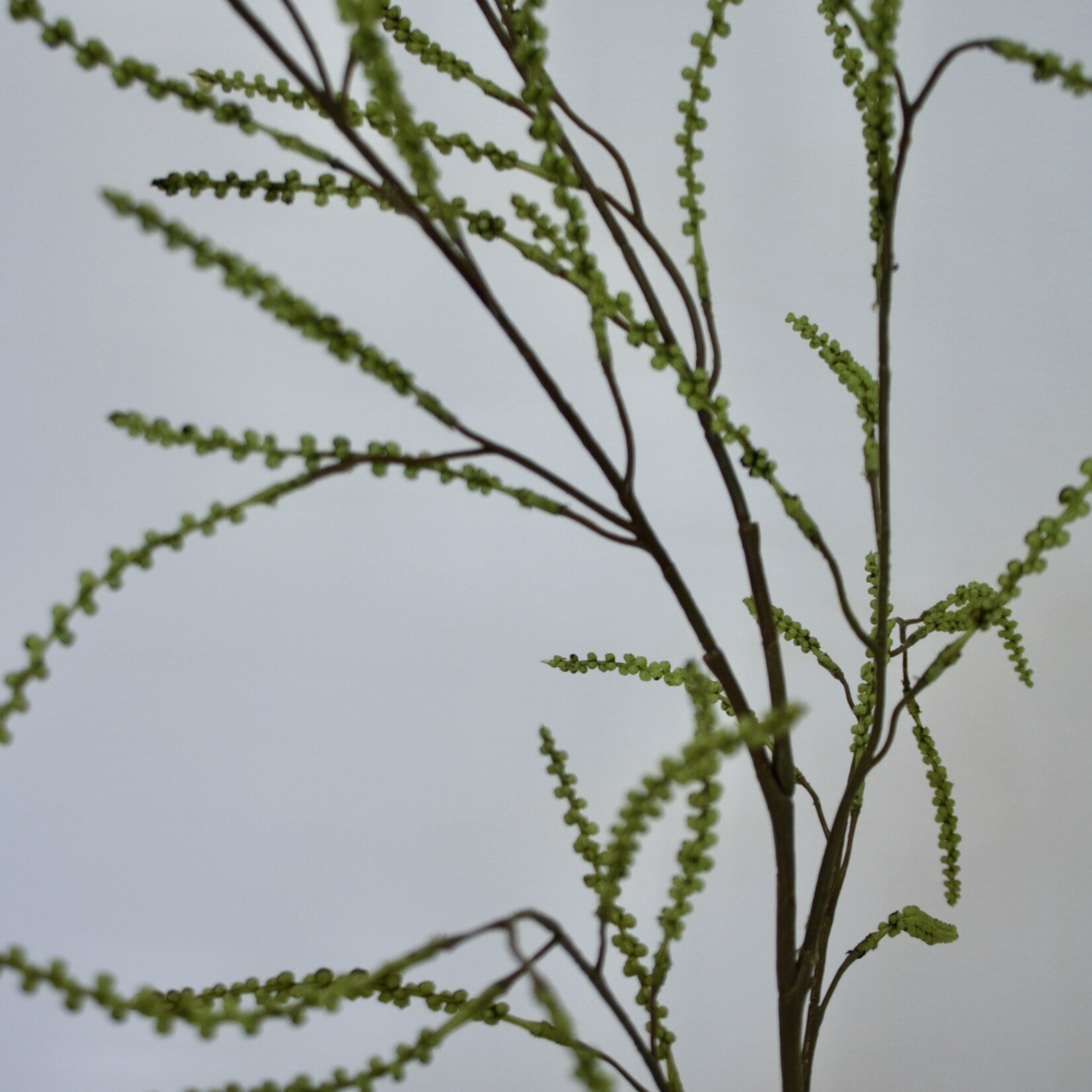 ASTILBE | GROEN | 100 CM