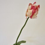 TULIP | PINK WHITE  | 64 CM