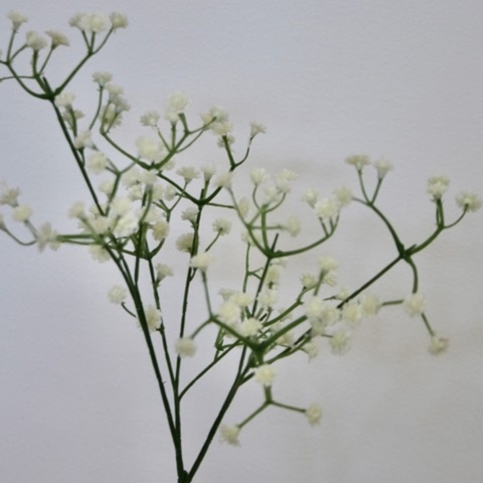 BABY'S BREATH  SCHNEEFLOCKE| WHITE | 50 CM