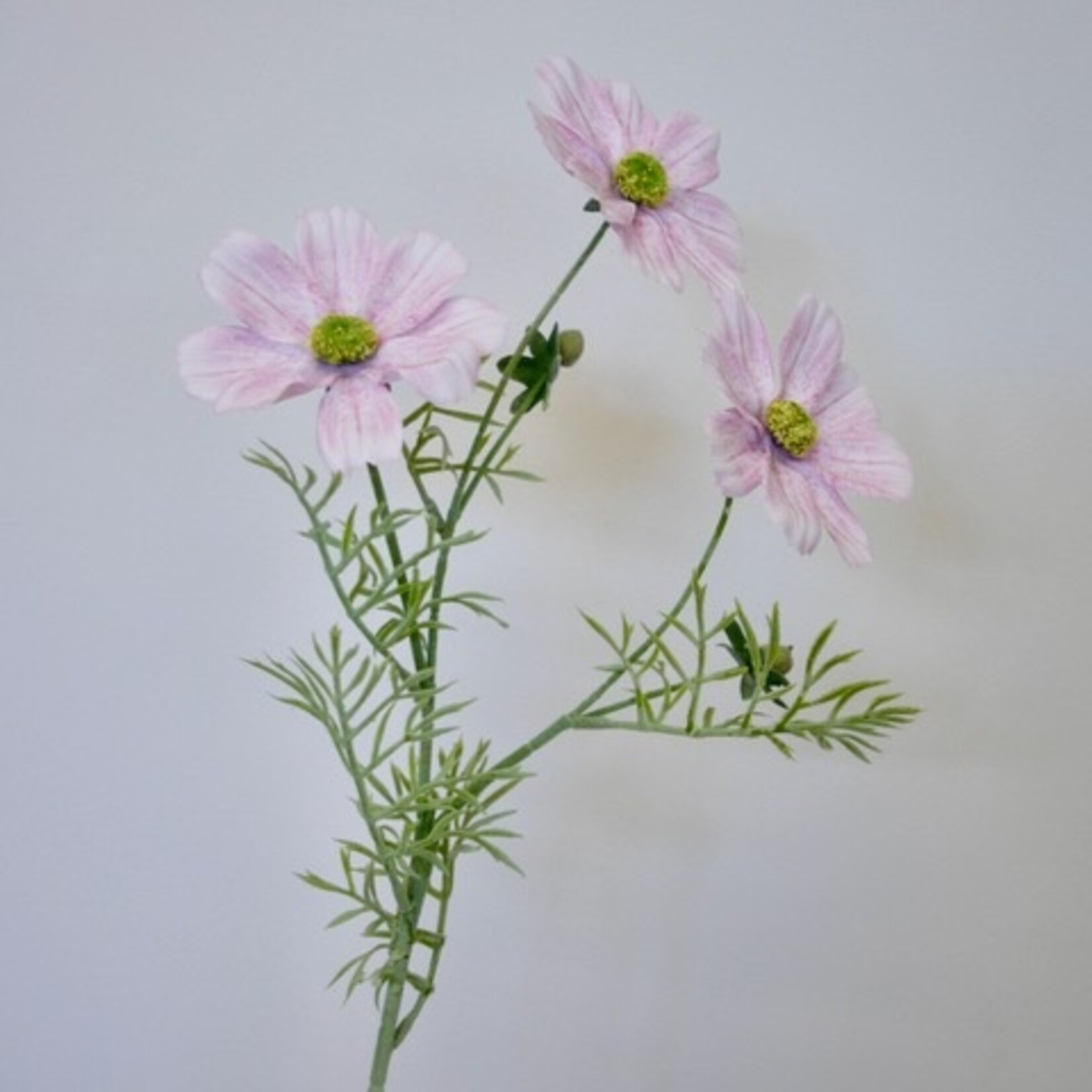 COSMOS COLARETTE | LIGHT PINK | 65 CM