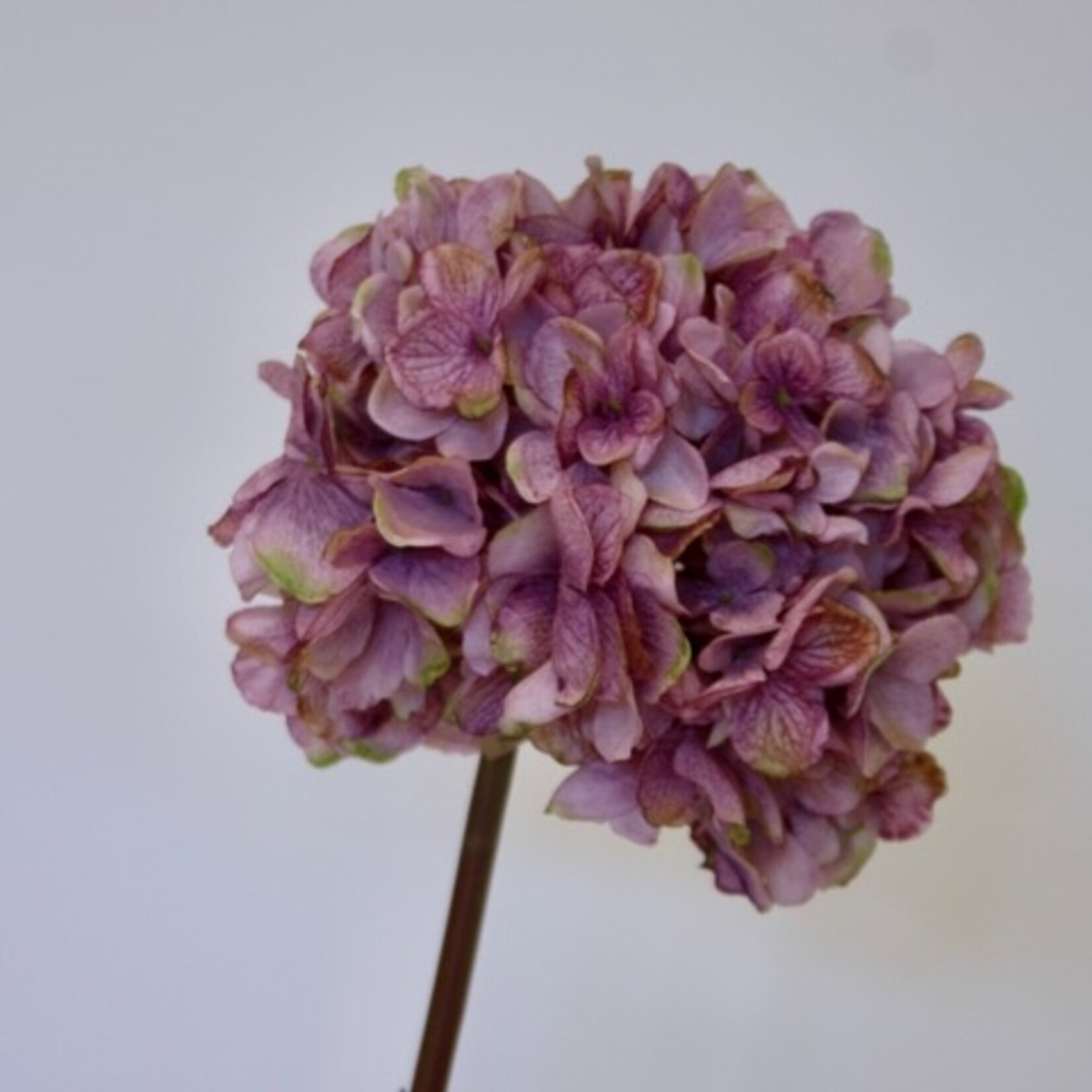 HYDRANGEA | LILAC | 83 CM