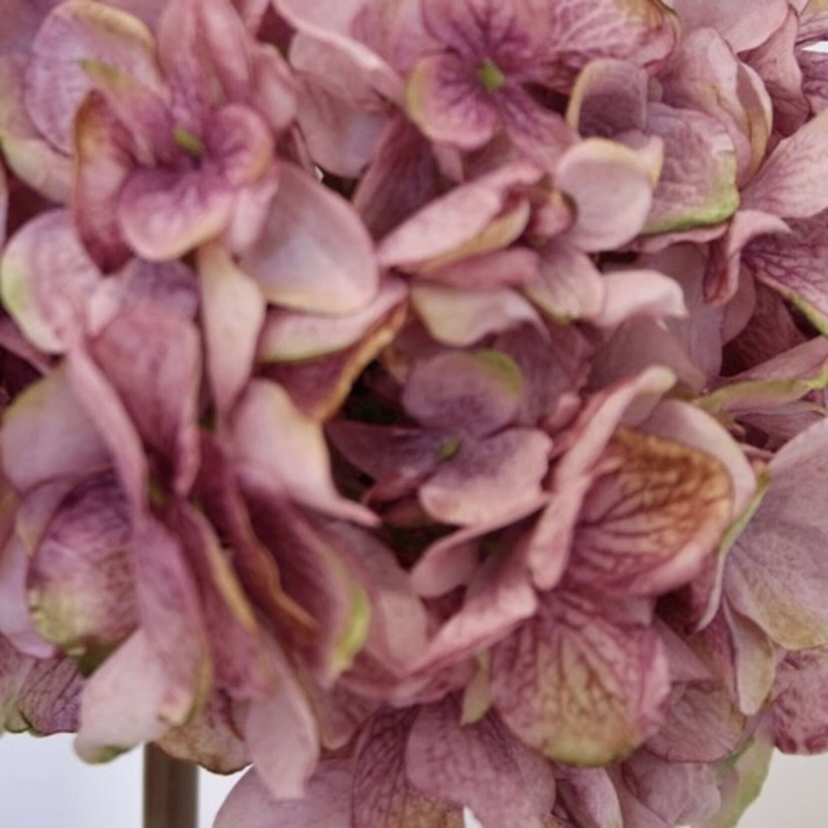 HYDRANGEA | LILAC | 83 CM