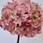 HYDRANGEA | LIGHT PINK | 83 CM