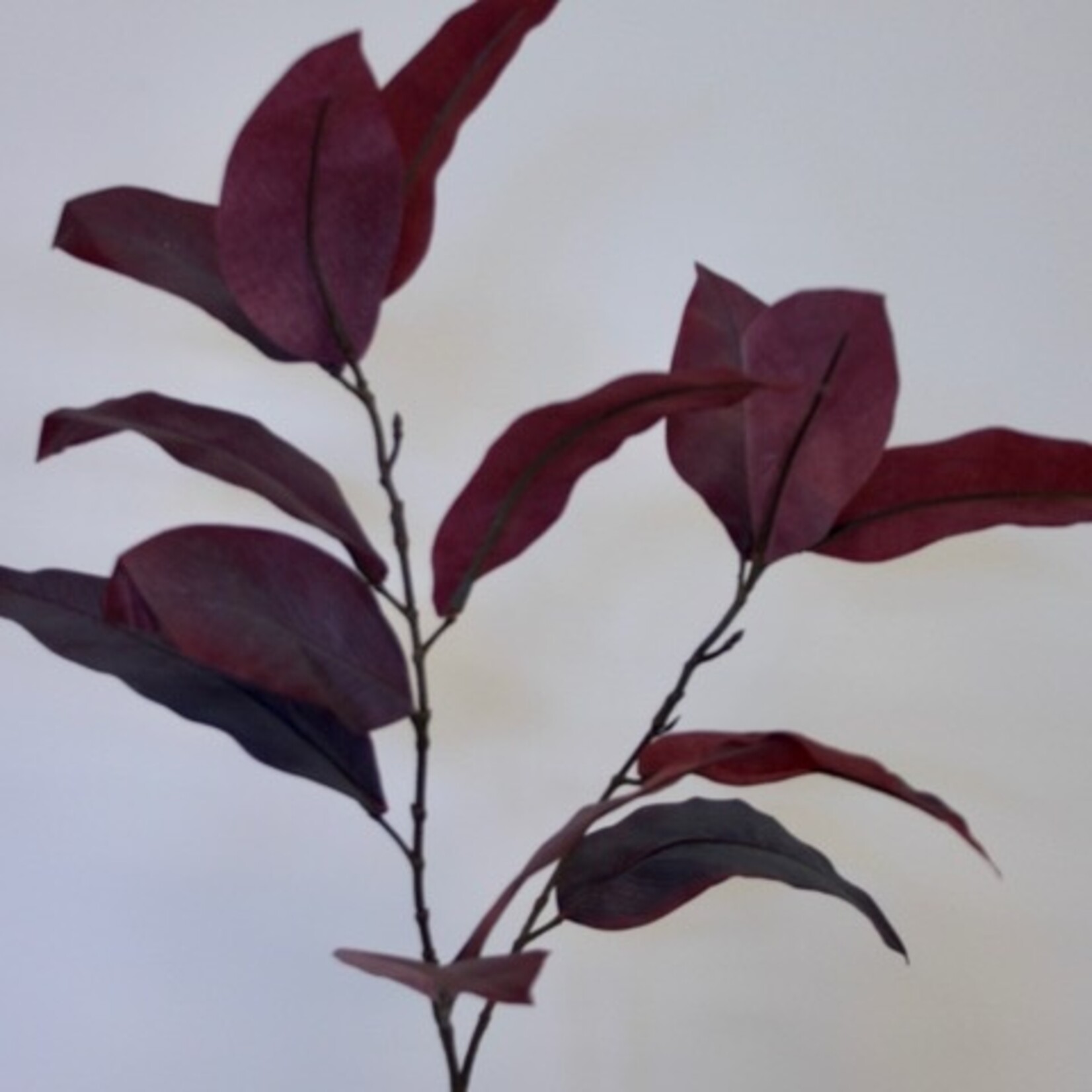 BLADTAK  | BORDEAUX | 65 CM