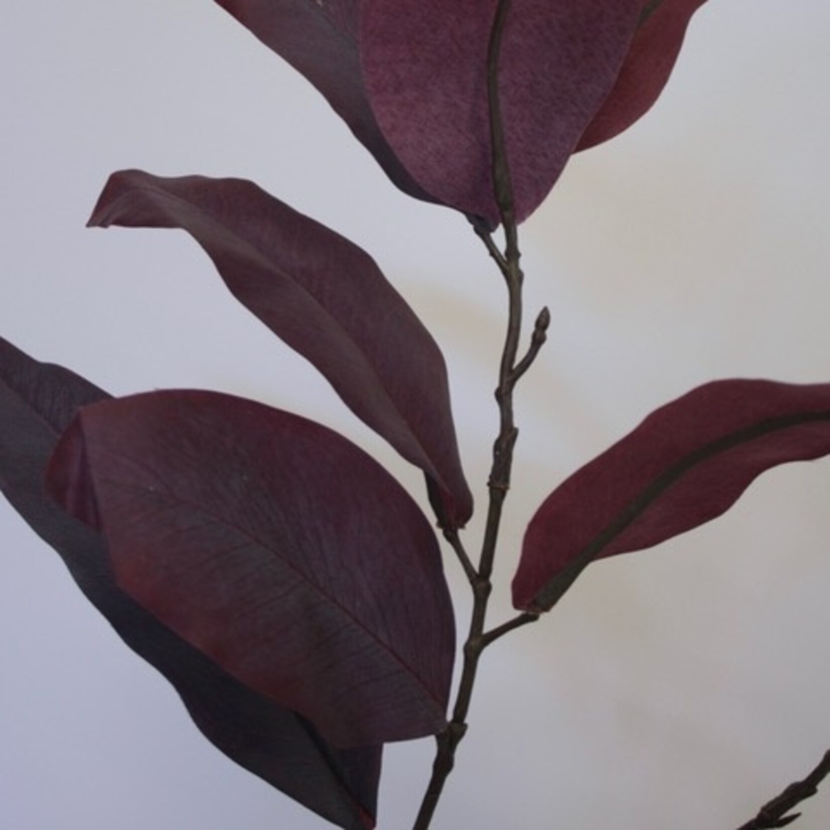 LEAF BRANCH BURGUNDY  | BURGUNDY | 65 CM