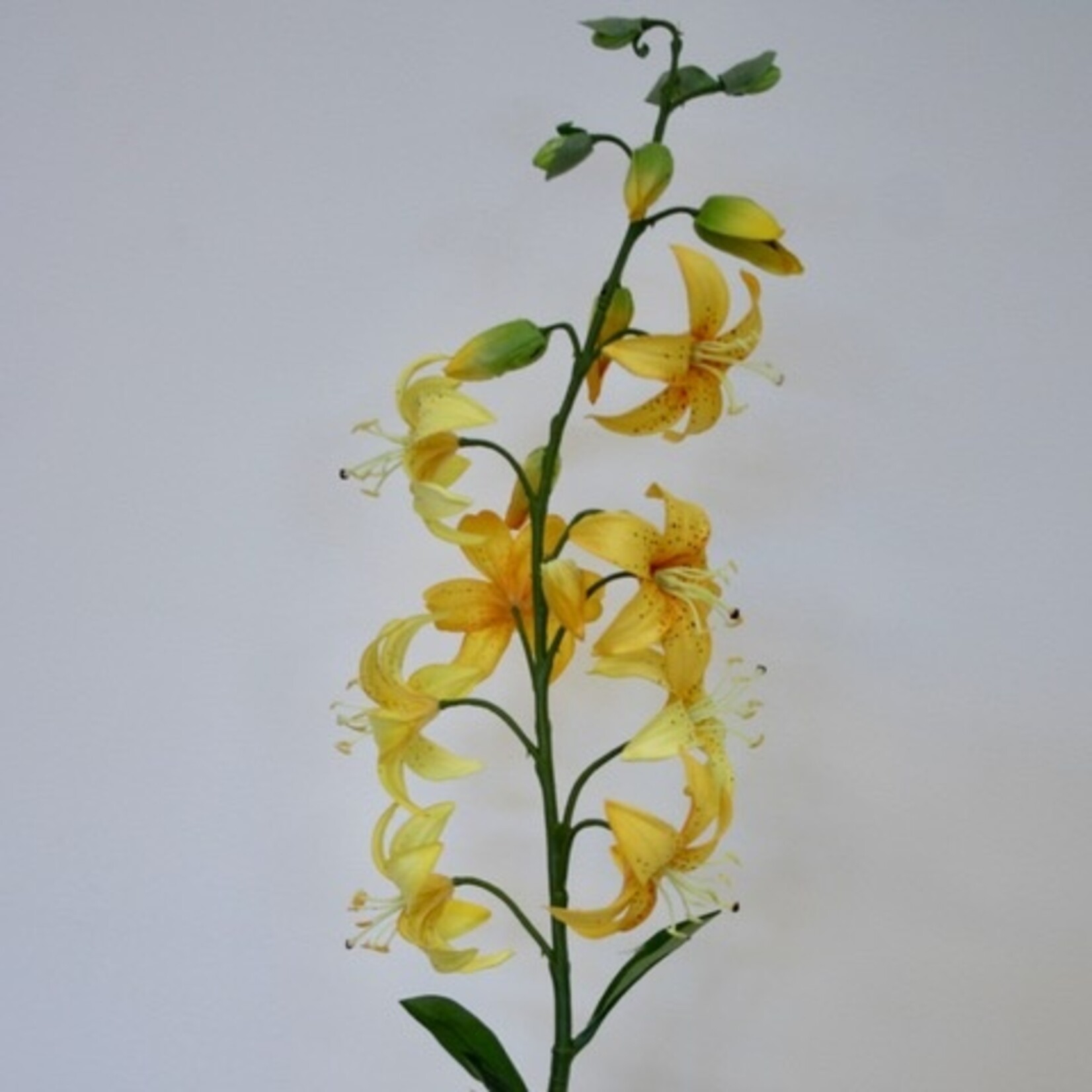 TURKISH LILY| YELLOW | 94 CM