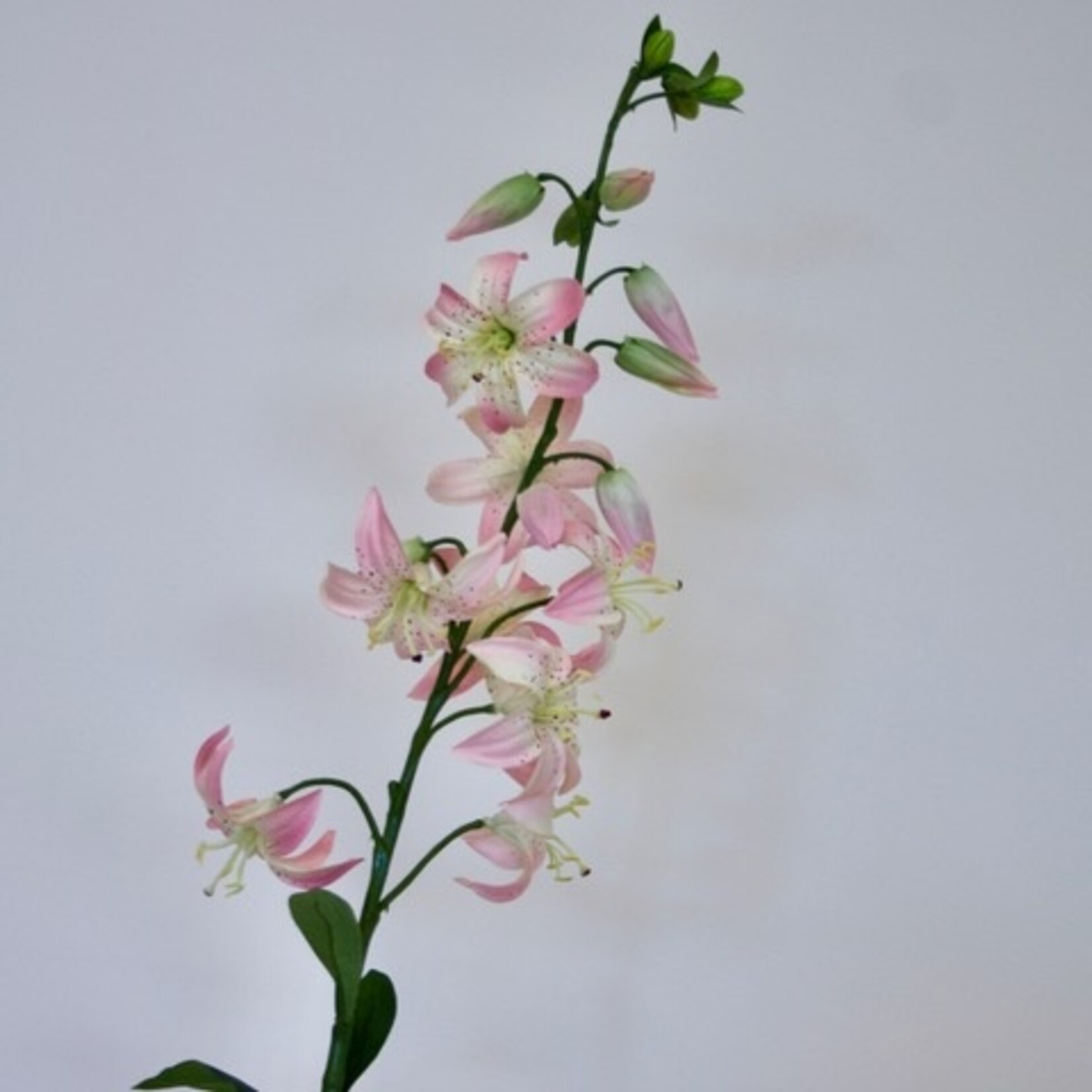 TURKSE LELIE| ROZE | 94 CM
