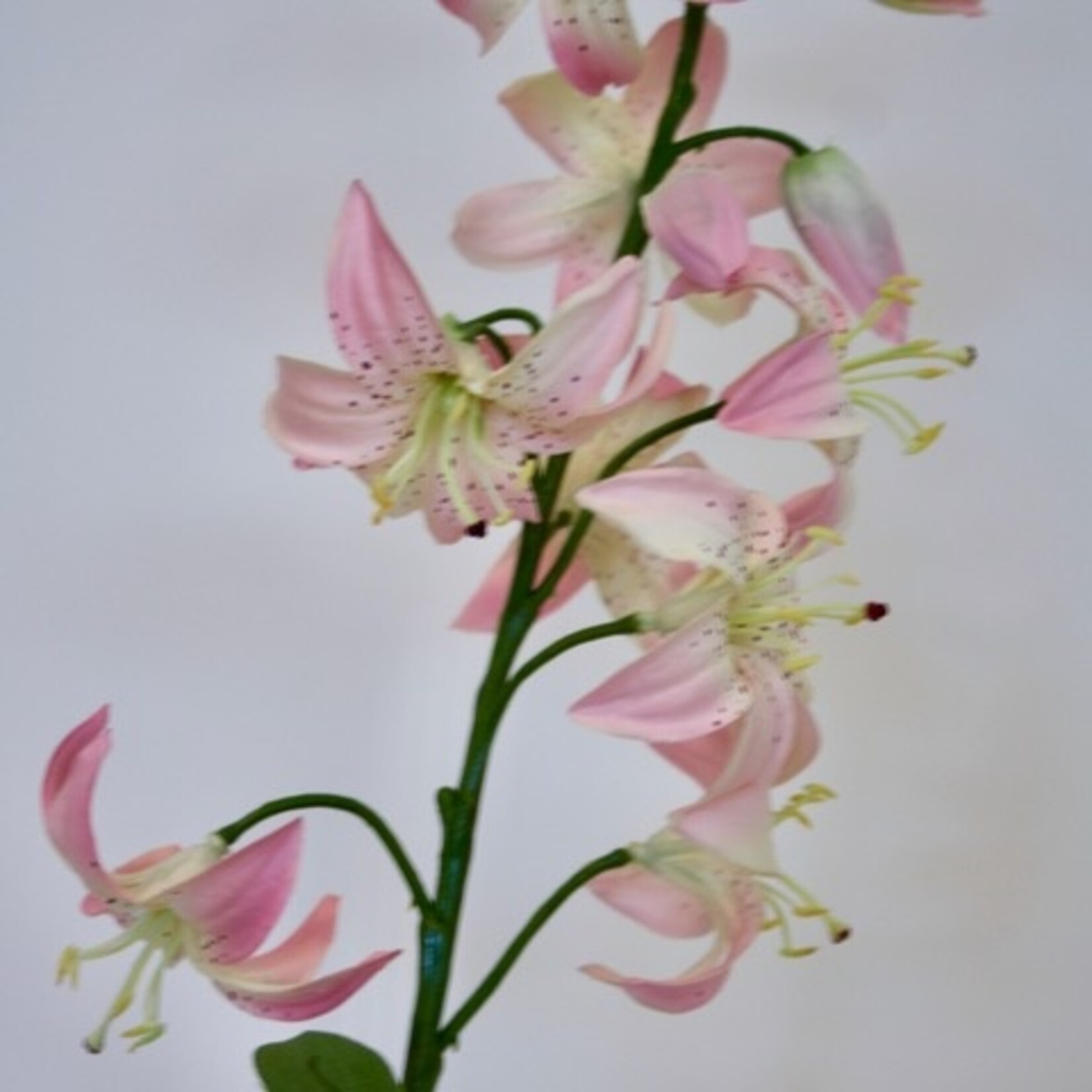TURKSE LELIE| ROZE | 94 CM