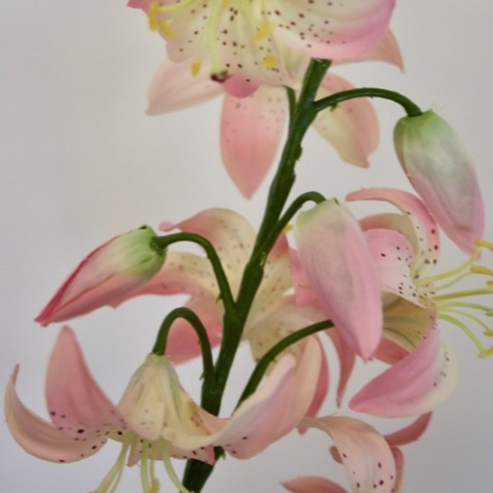 TURKSE LELIE| ROZE | 94 CM