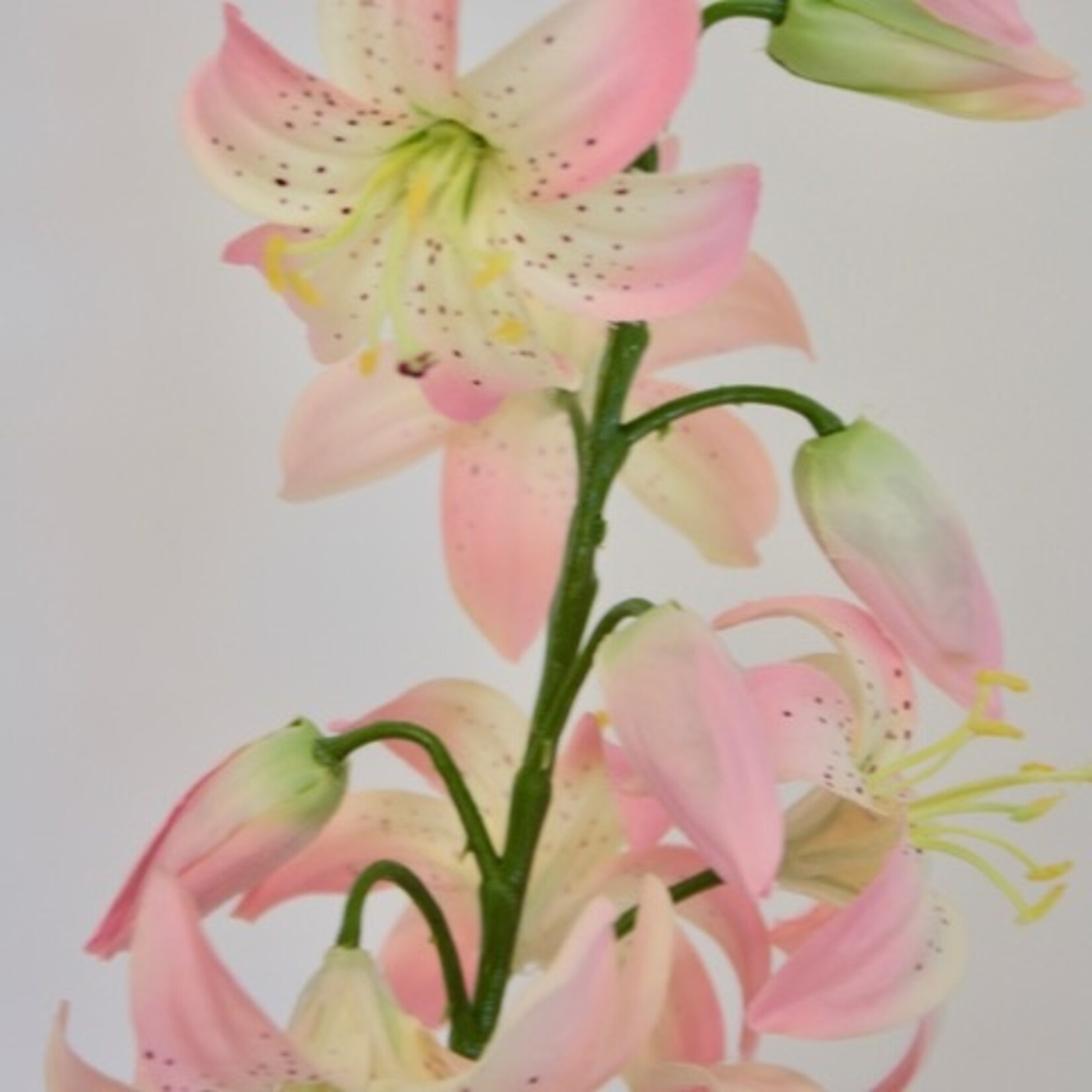 TURKSE LELIE| ROZE | 94 CM