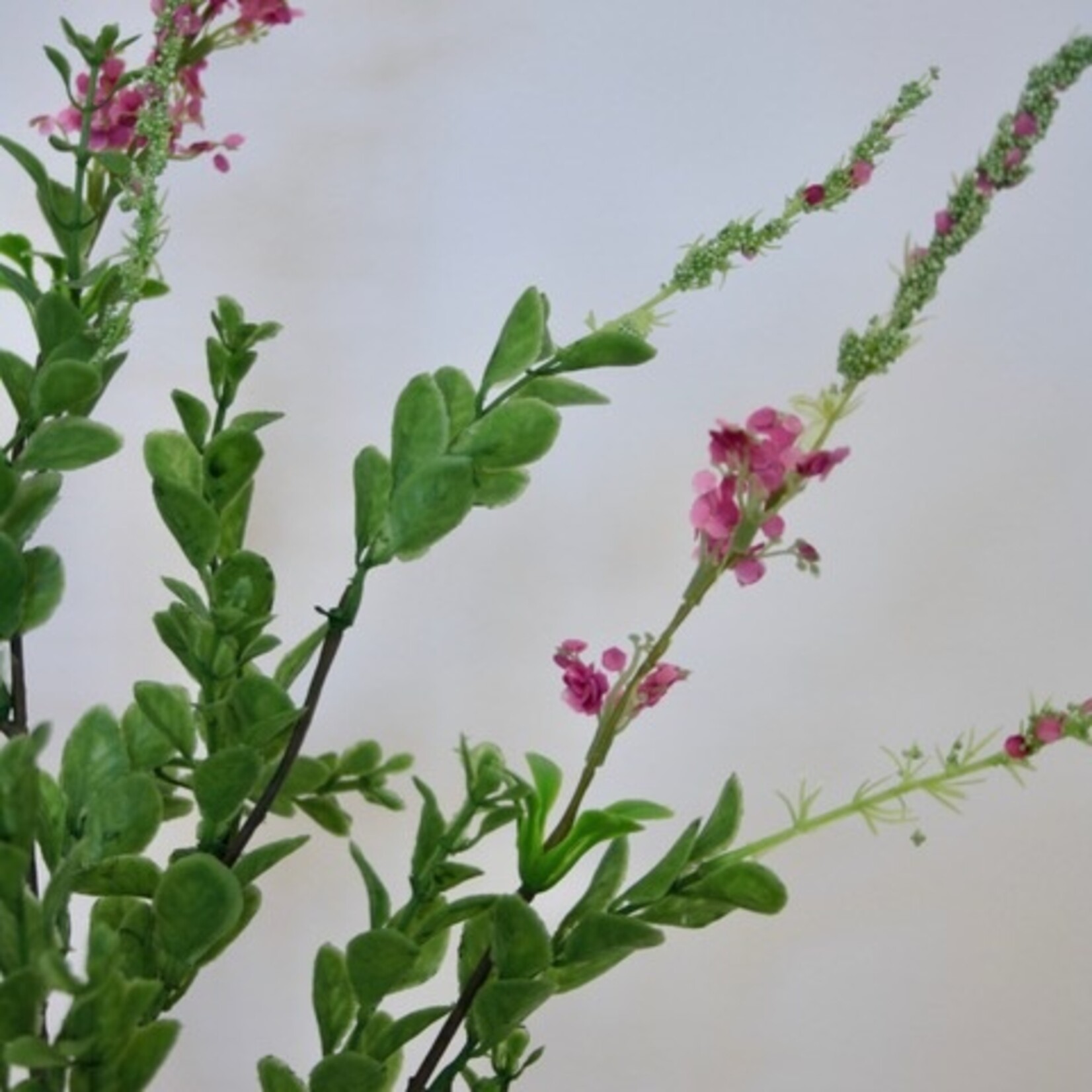 IJZERKRUID | ROZE | 83 CM