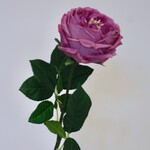 ROOS | ROZE | 60 CM