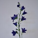 CAMPANULA | PURPLE| 66 CM