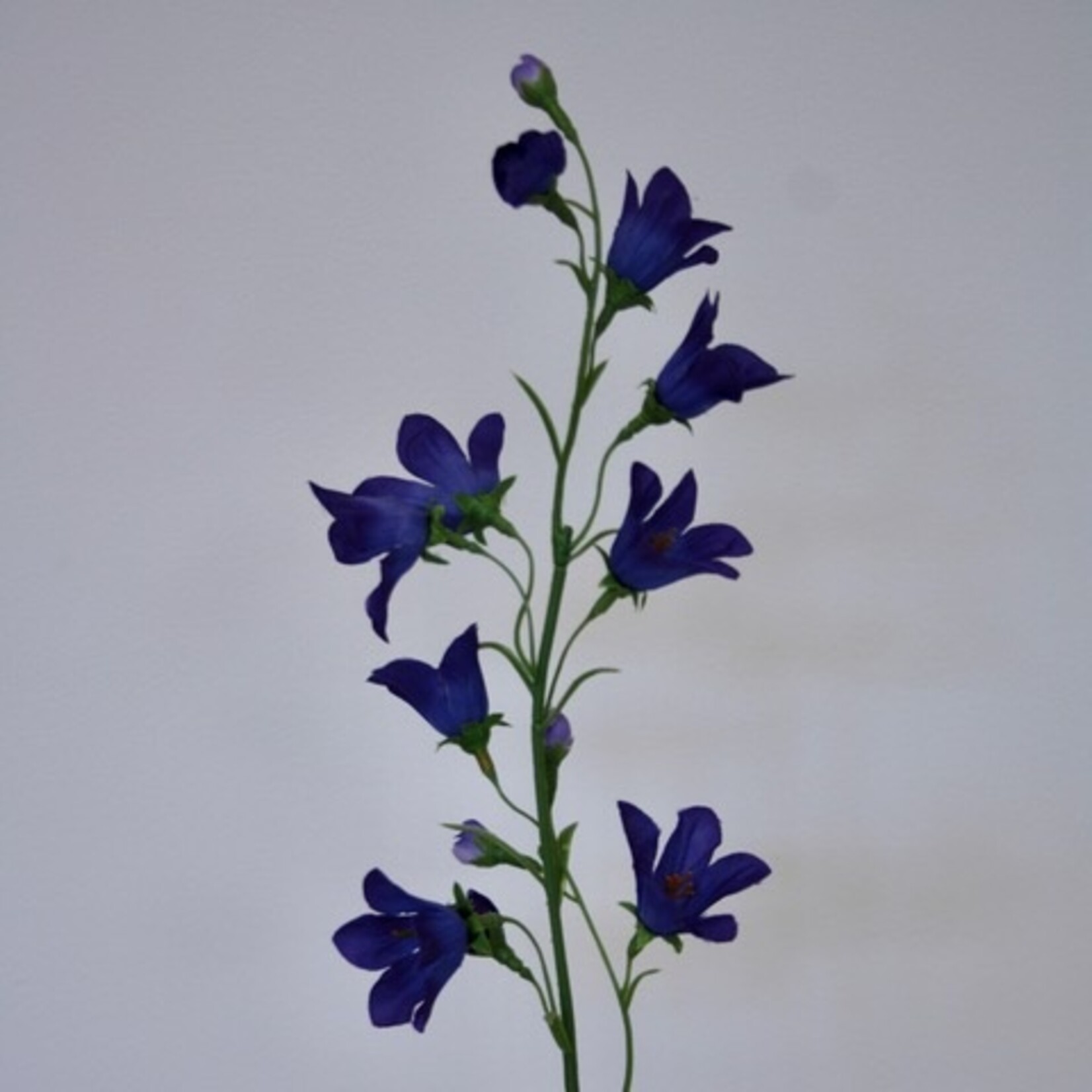 CAMPANULA | PURPLE| 66 CM