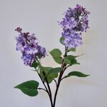 SERING TAK| LILA | 84 CM