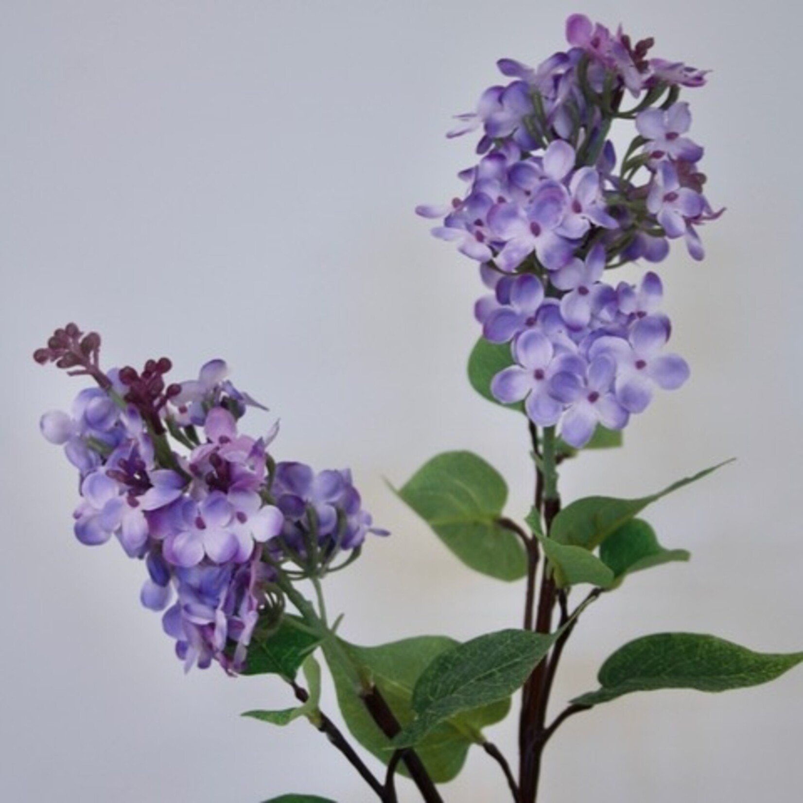 LILAC BRANCH MICHEL BUCHNER | LILAC | 84 CM