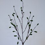 PIMPERNEL | GROEN | 100 CM