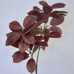 LEAF SPRAY | BURGUNDY | 75 CM