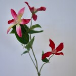 CLEMATIS | RED | 73 CM