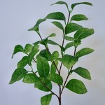 BLADTAK | GROEN | 60 CM