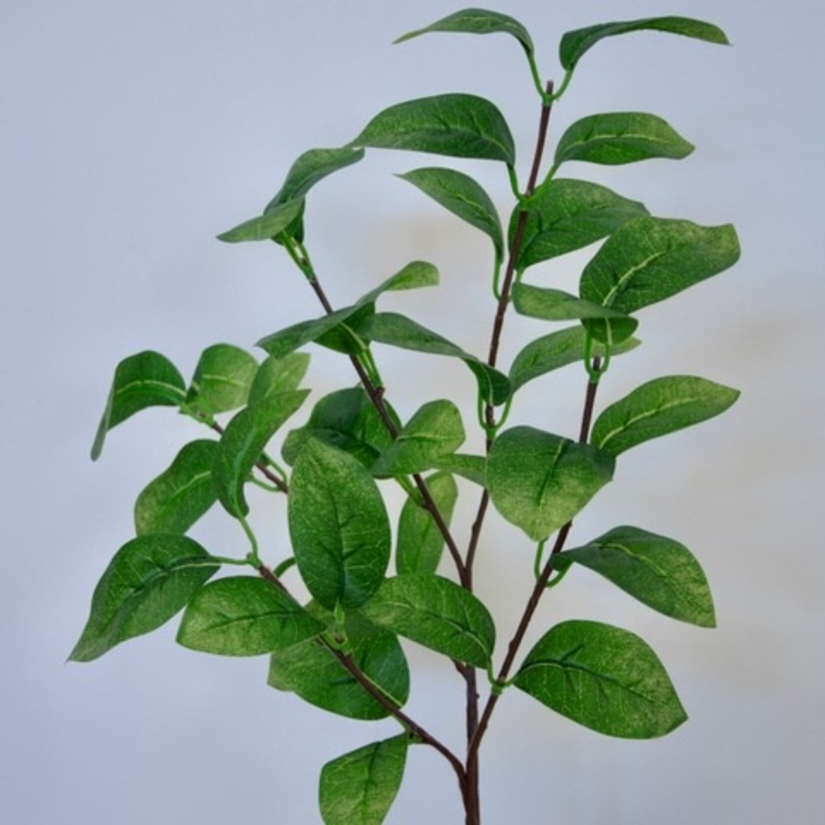BLADTAK | GROEN | 60 CM