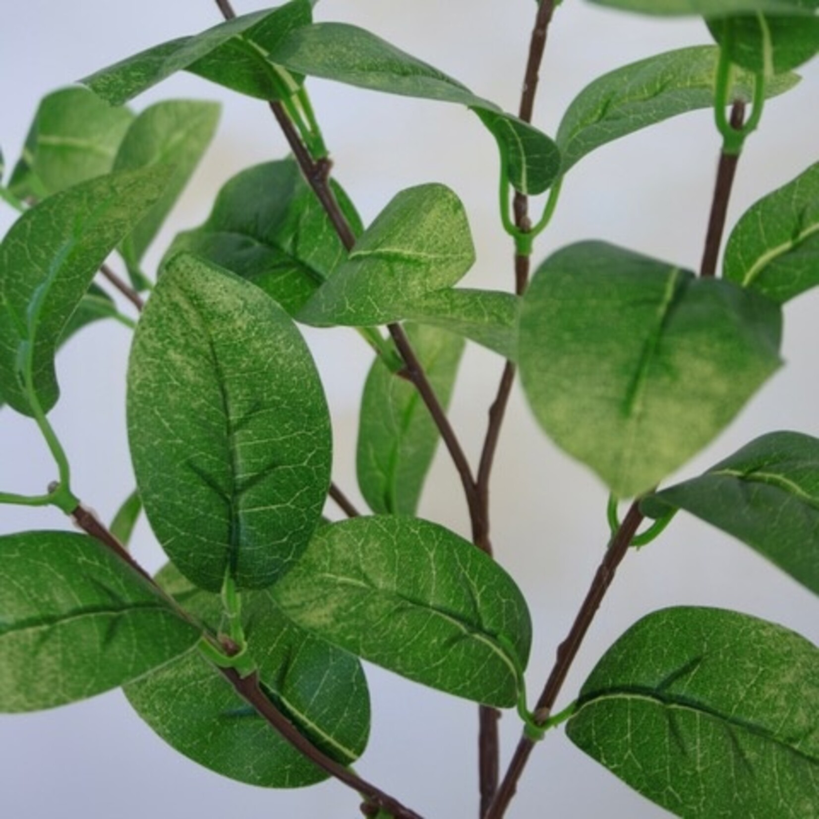 BLADTAK | GROEN | 60 CM