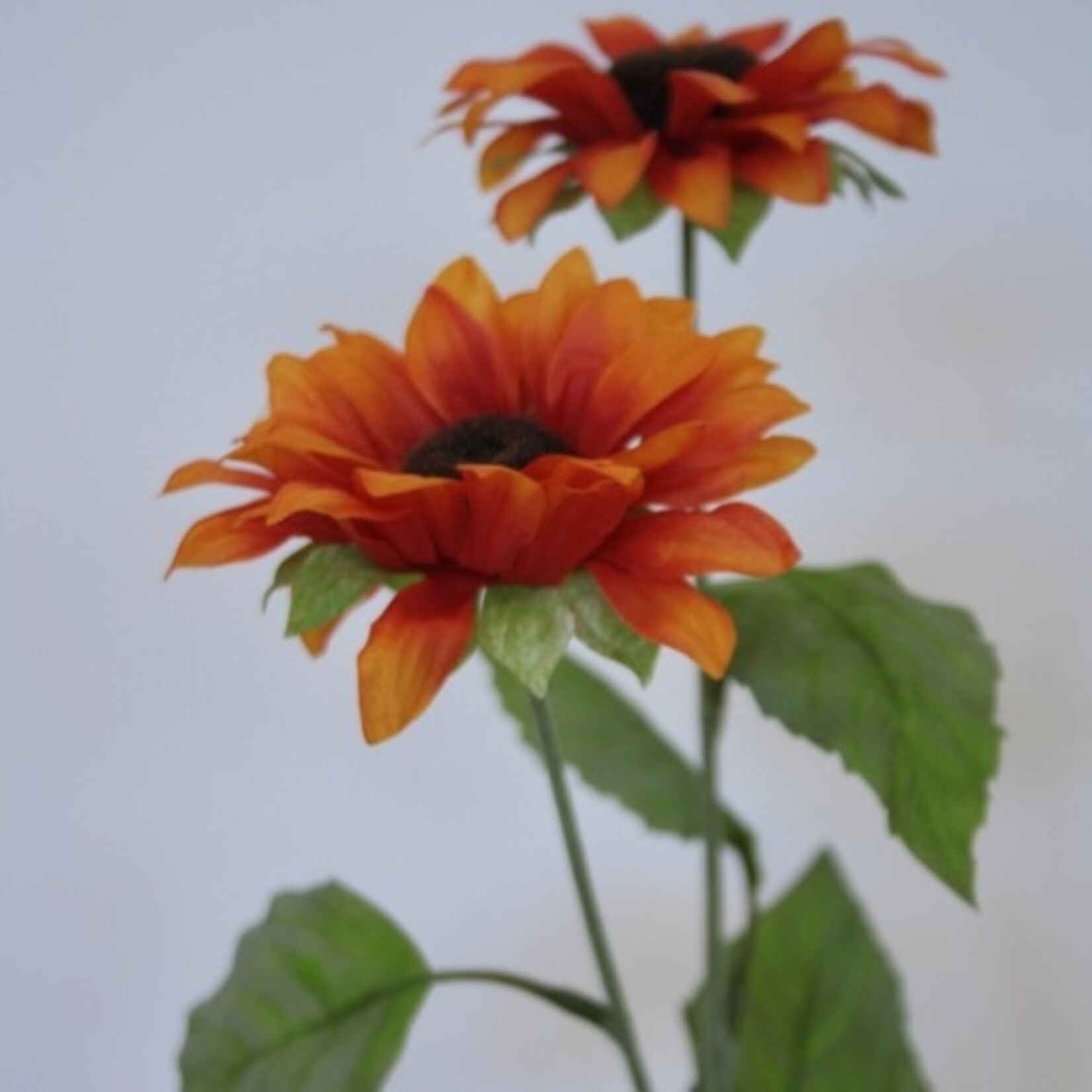 ZONNEBLOEM | ORANJE | 80 CM