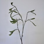 BONENTAK | GROEN | 90 CM