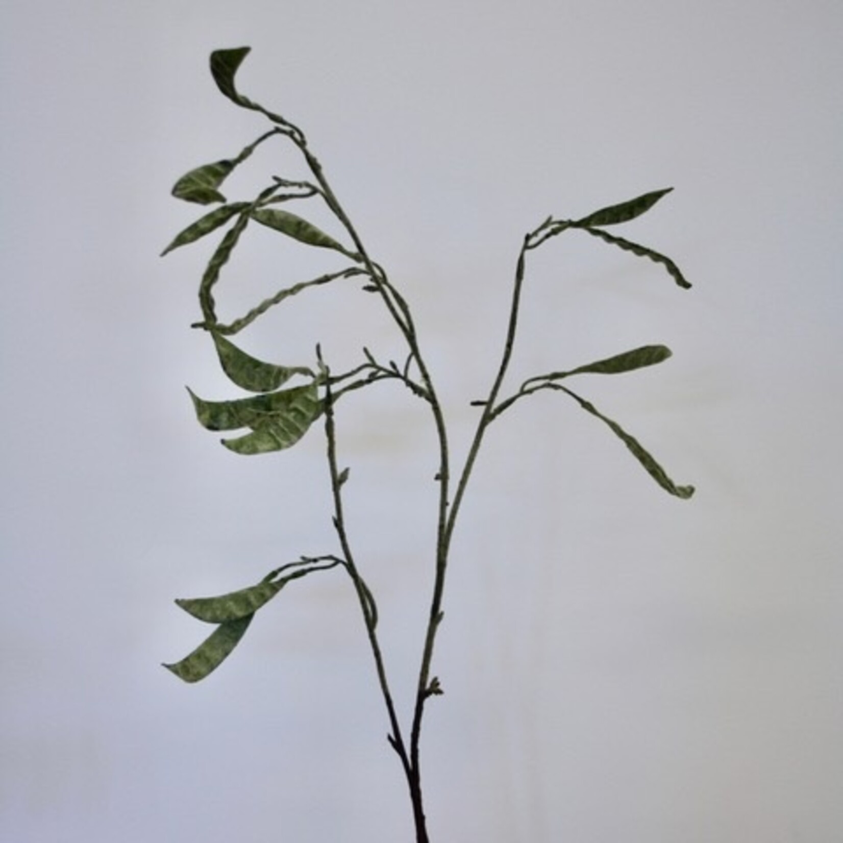 BONENTAK LADY DI | GROEN | 90 CM