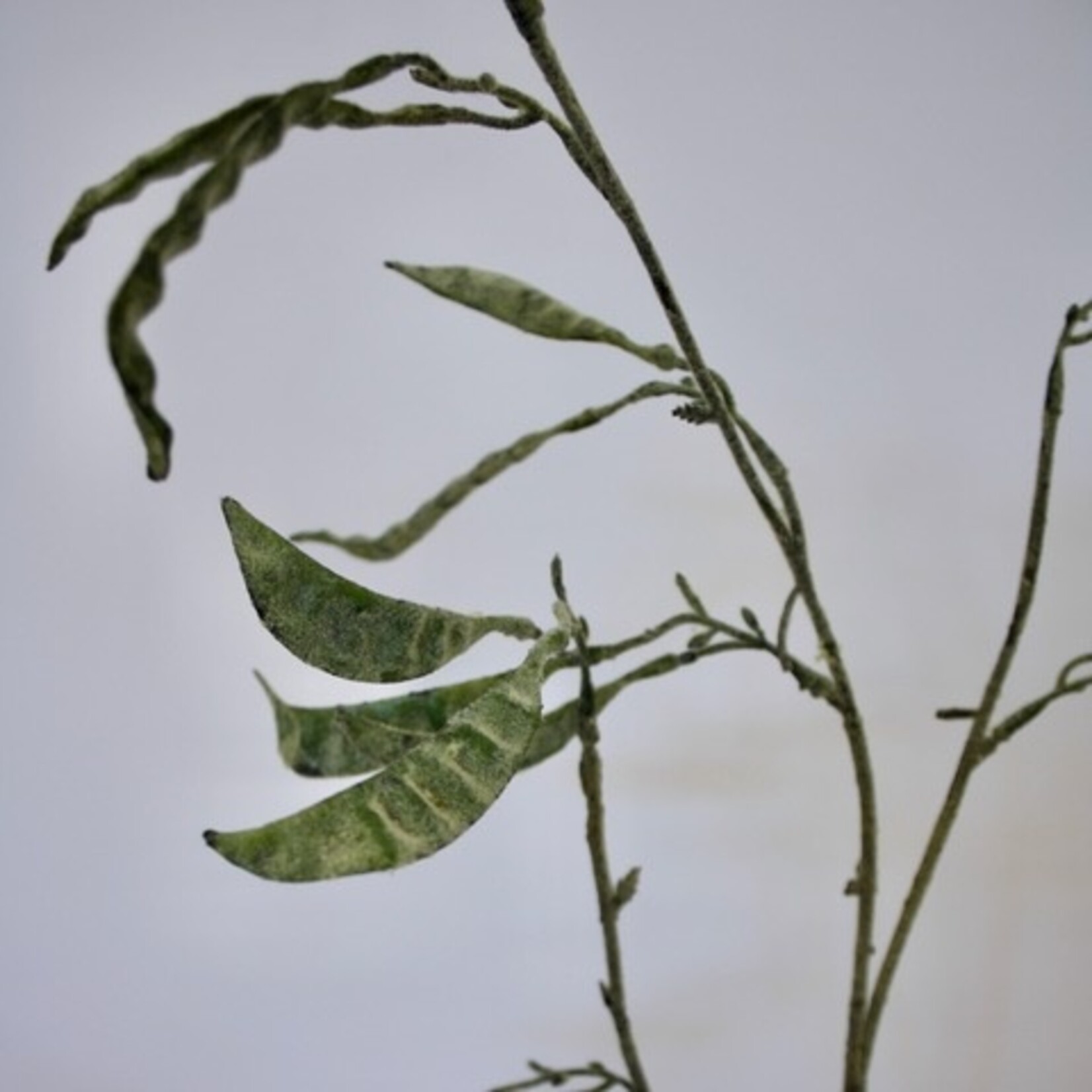 BONENTAK LADY DI | GROEN | 90 CM