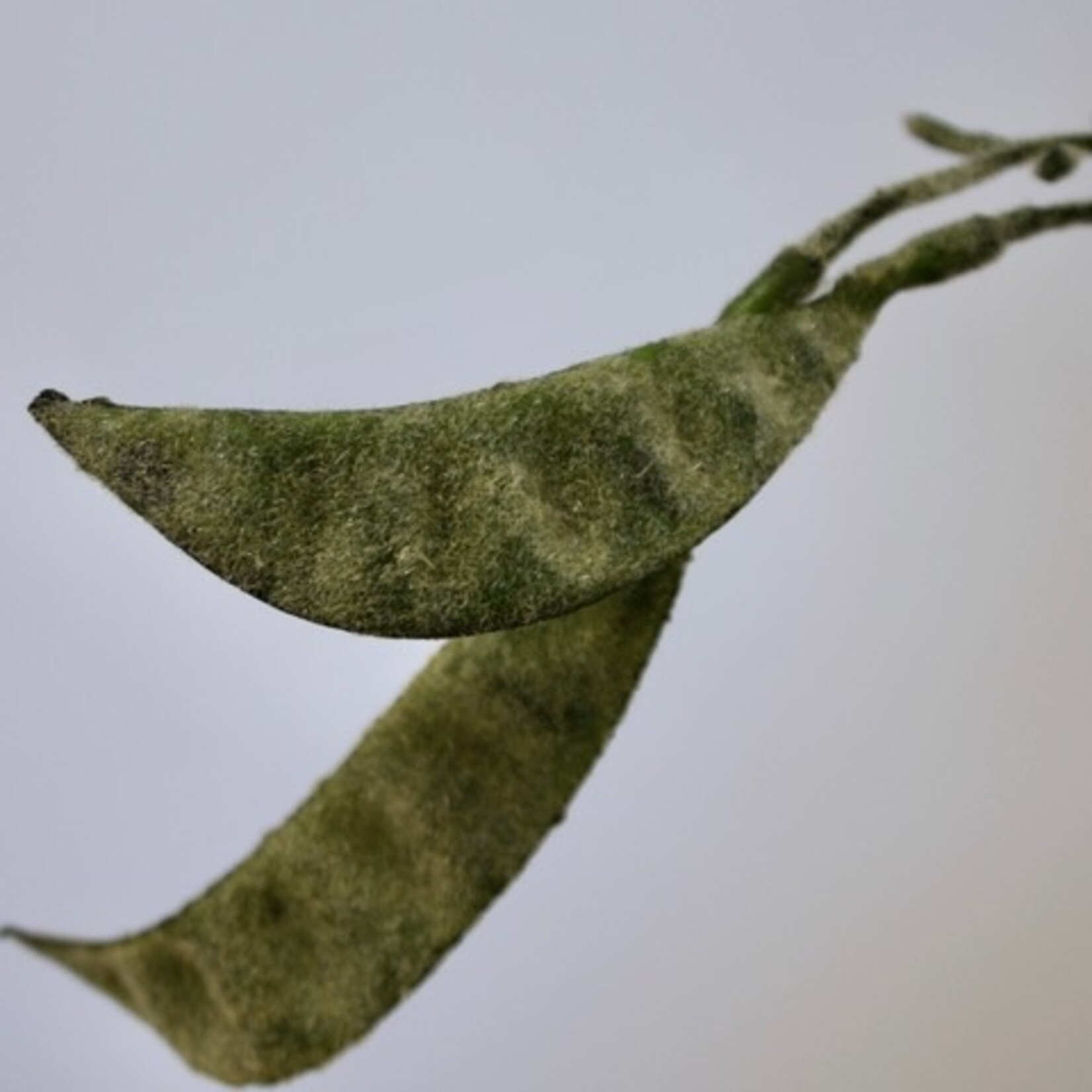 BONENTAK LADY DI | GROEN | 90 CM