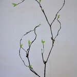 CULRY BRANCH WITH LEAVES | GREEN | 90 CM