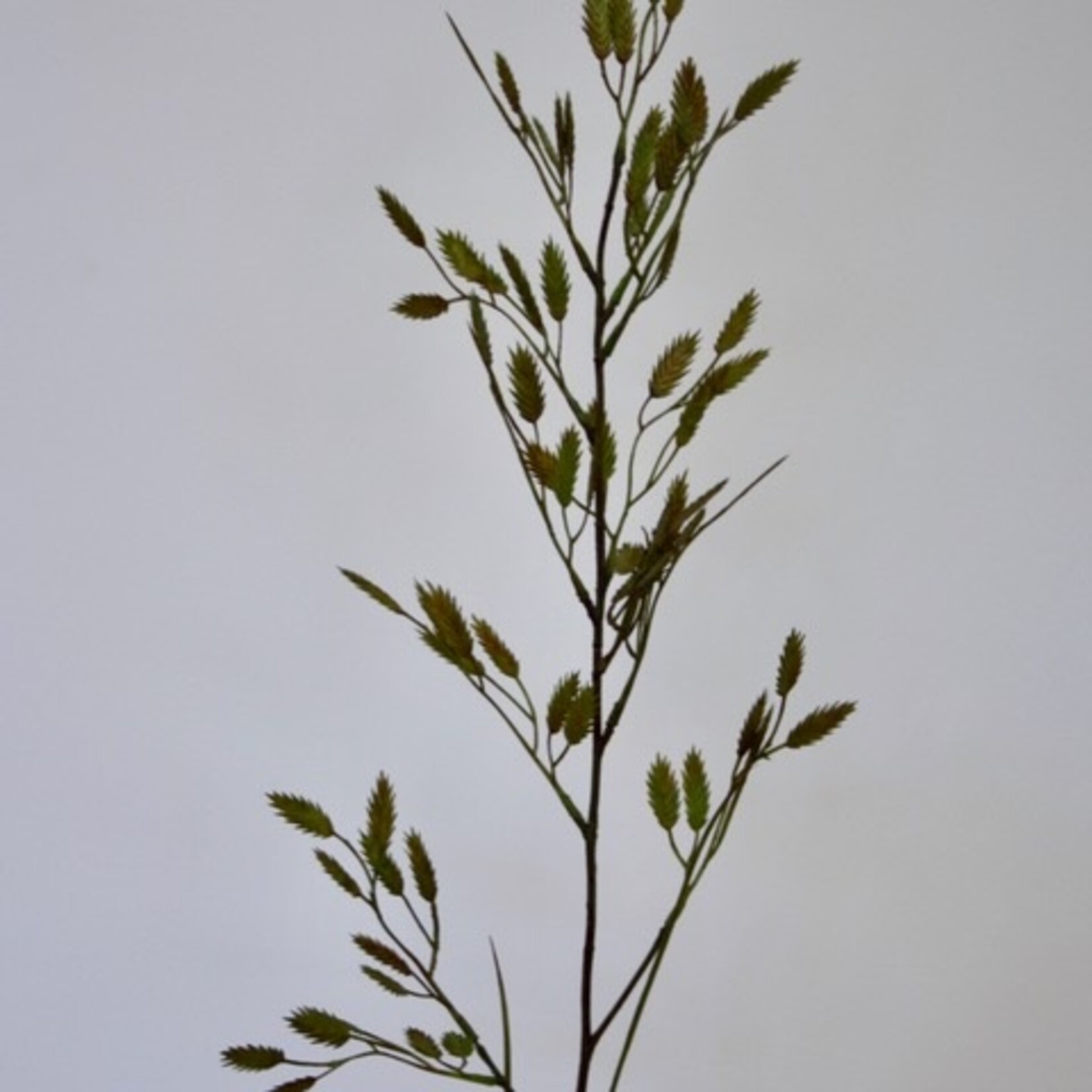 PLAT AARGRAS | GROEN | 98 CM