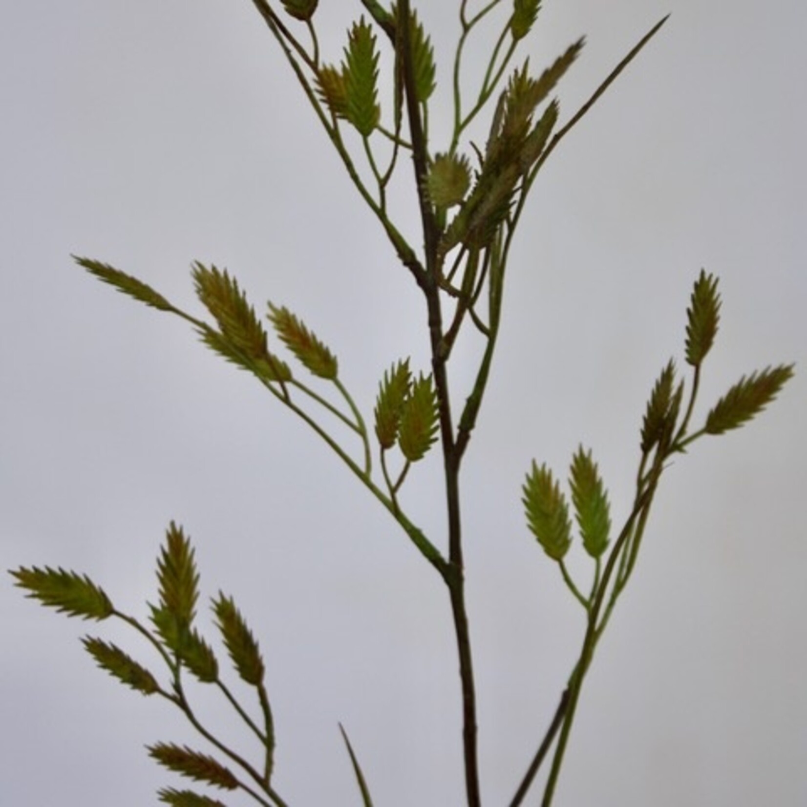 PLAT AARGRAS | GROEN | 98 CM