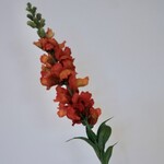 VLASLEEUWENBEK | ORANJE | 93 CM