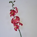 LILY | FUCHSIA | 98 CM