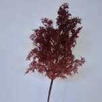 PRUIKENBOOM | BORDEAUX ROZE| 90 CM