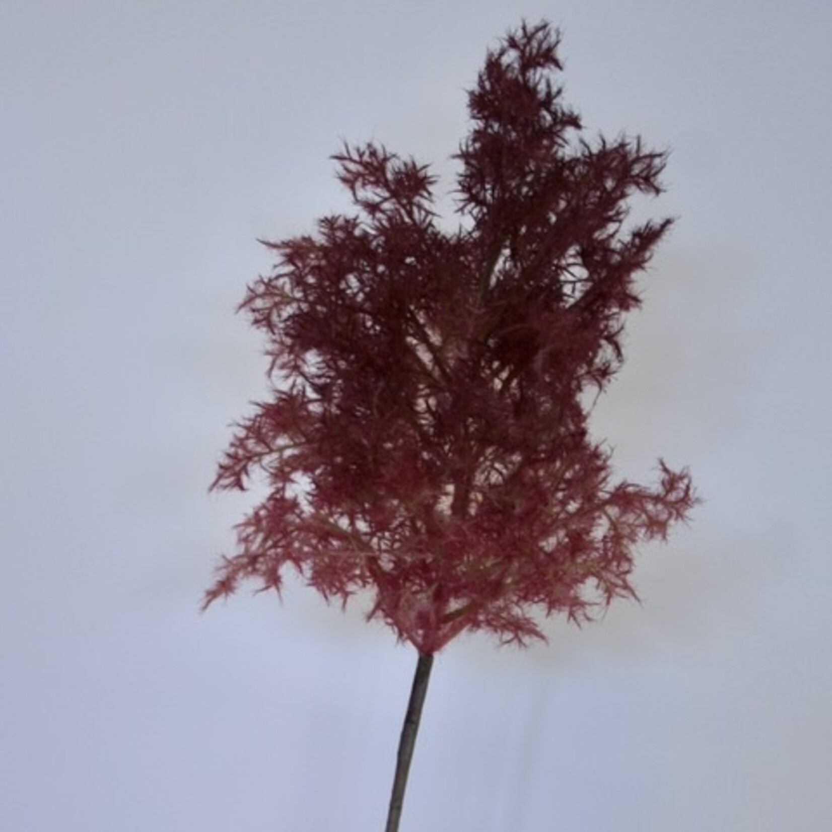 COTINUS | BORDEAUX PINK | 90 CM