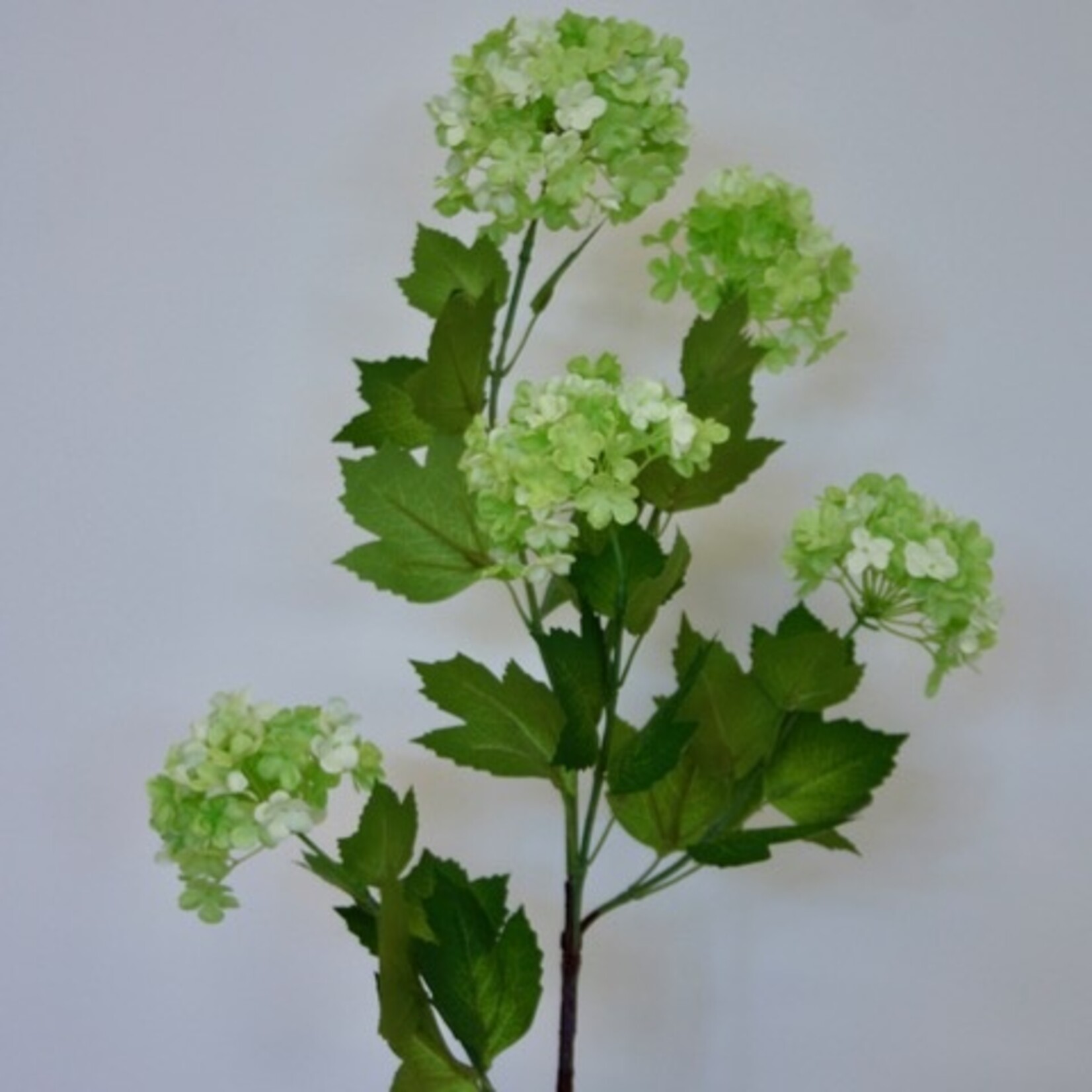 VIBURNUM | GREEN | 80 CM