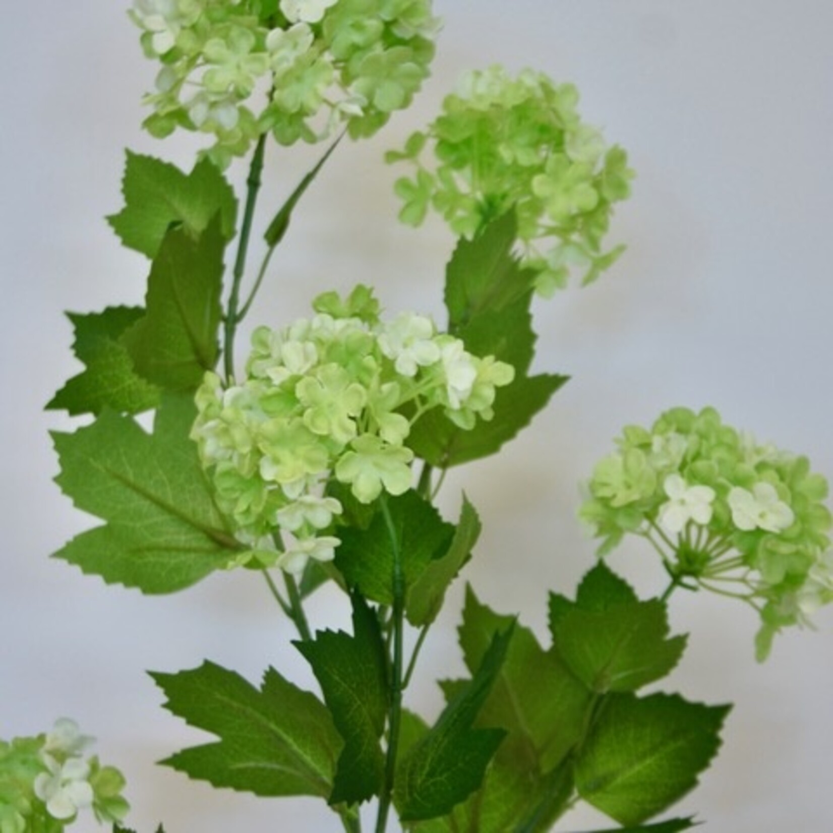 VIBURNUM | GREEN | 80 CM