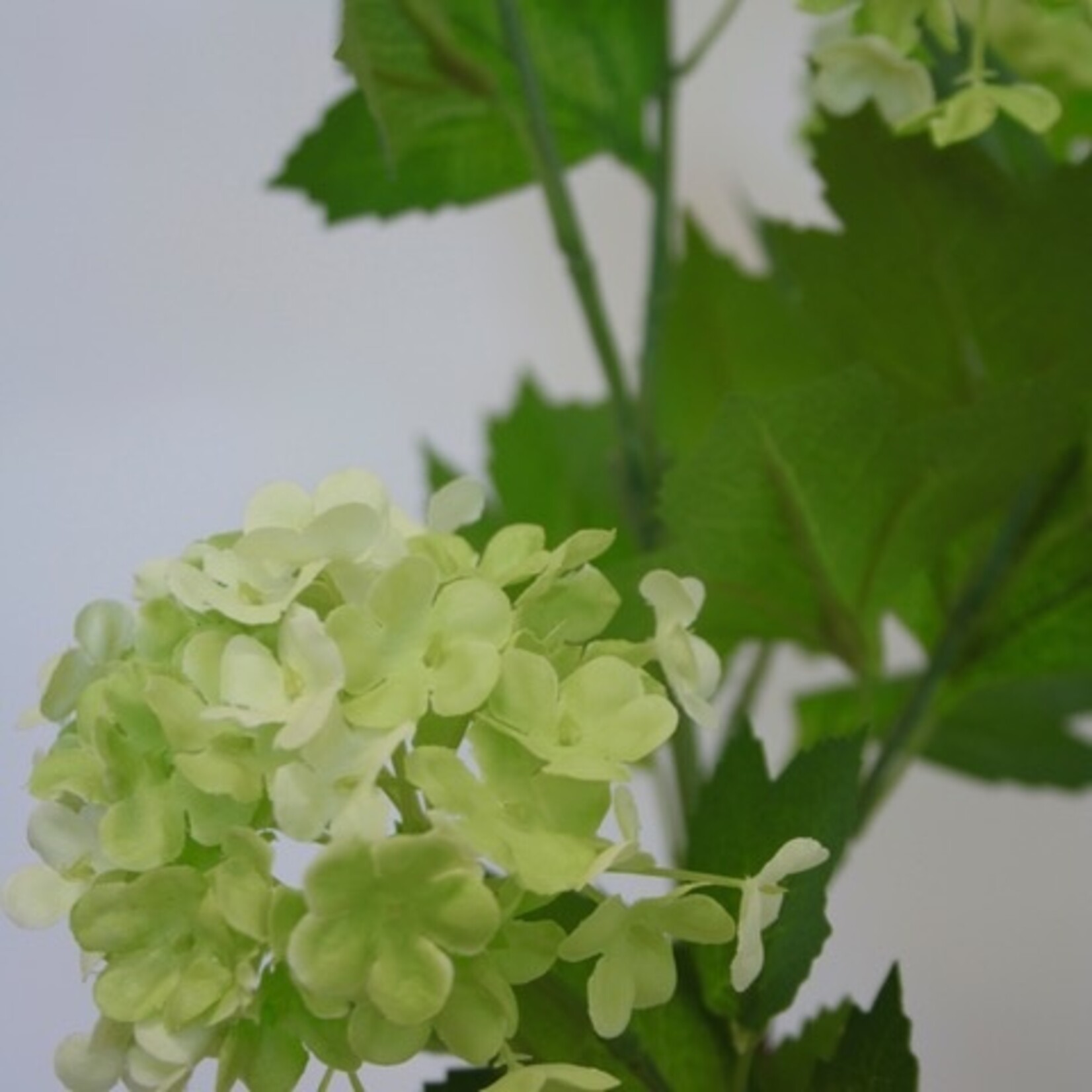 VIBURNUM | GREEN | 80 CM