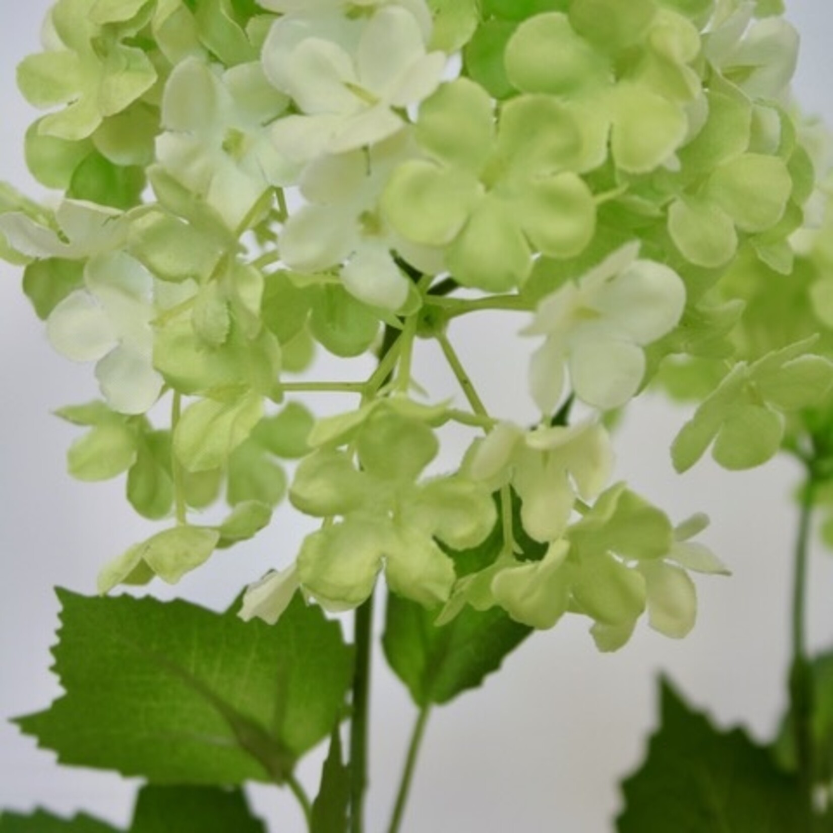 VIBURNUM | GREEN | 80 CM