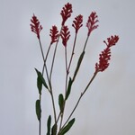 SPIREA | PINK | 66 CM
