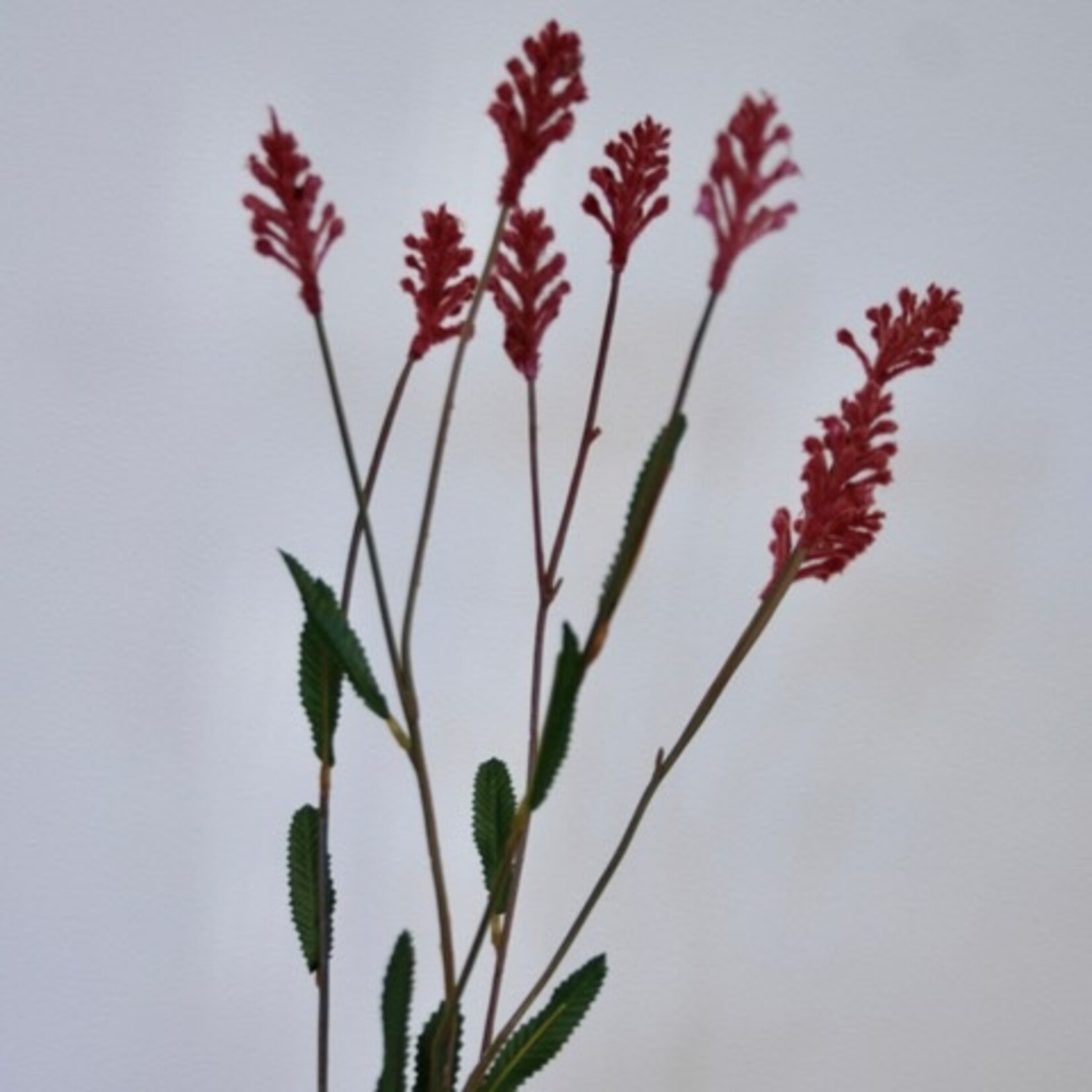 SPIREA | ROZE | 66 CM