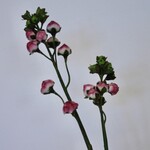 FLOWER IN BUD | PINK | 55 CM