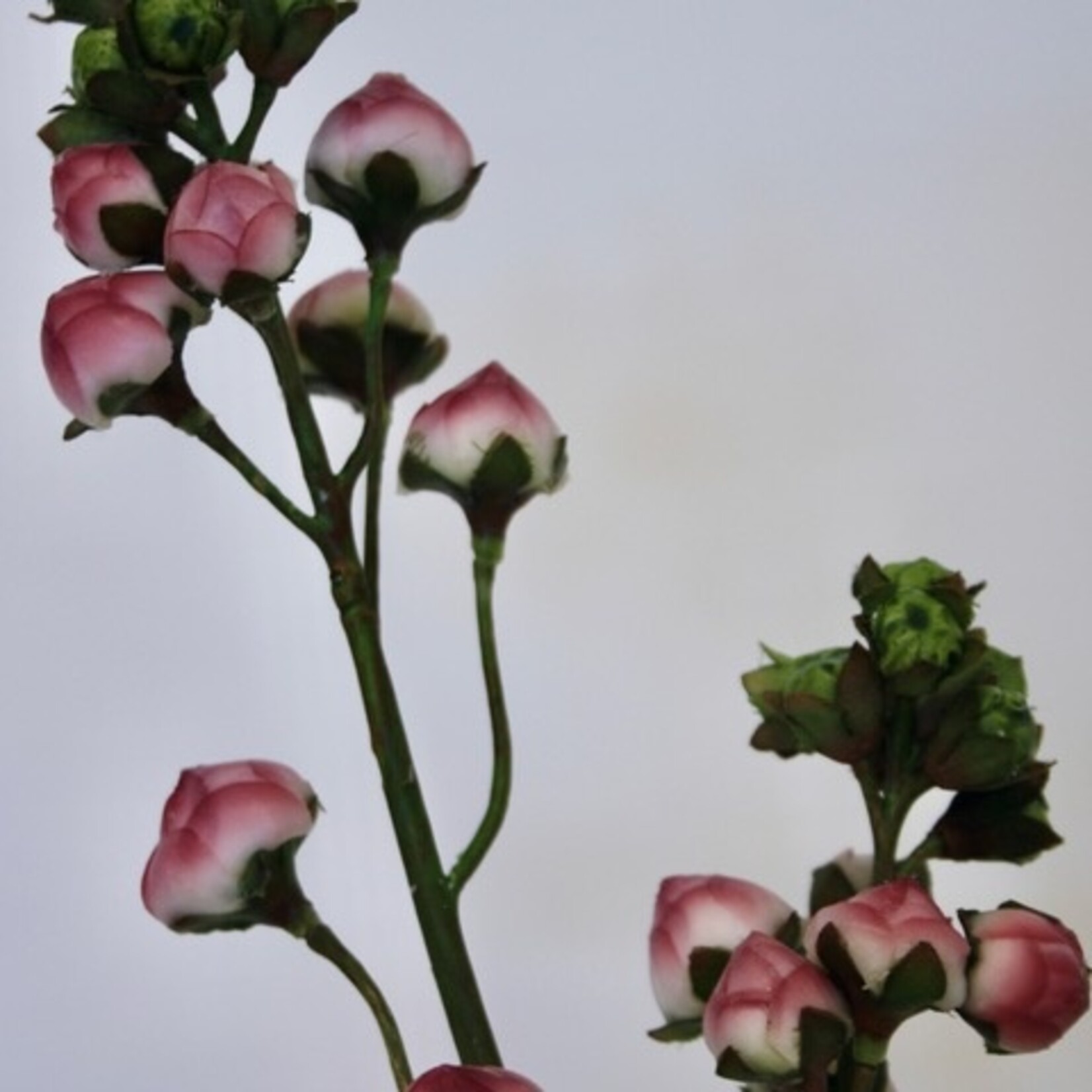 FLOWER IN BUD | PINK | 55 CM
